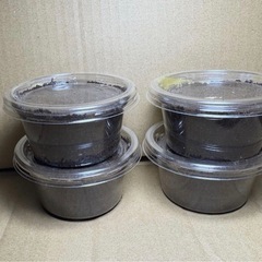 インドクルビ＋モーレンカンプ　　の画像