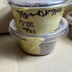 インドクルビ＋モーレンカンプ　　の画像