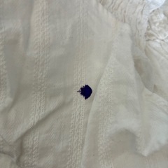 ブラウスの画像