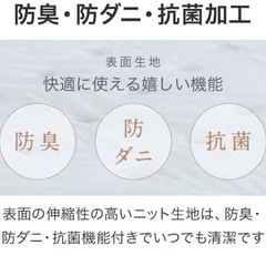 ニトリ　ダブルマットレス(NスリープハードH2-02CR VH)  の画像