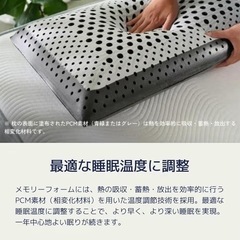 【使用歴浅】コアラピローの画像