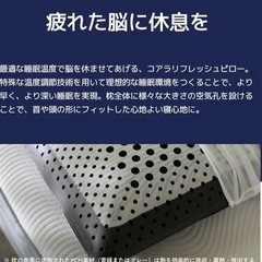 【使用歴浅】コアラピローの画像