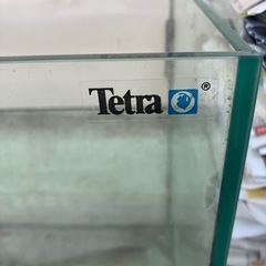 水槽　メダカ　金魚の画像