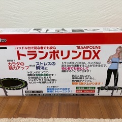 トランポリンの画像