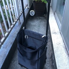 キャリーバックの画像