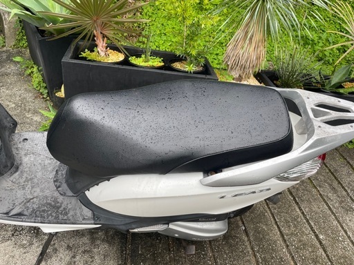 リード125 シート