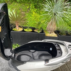 リード125 シートの画像