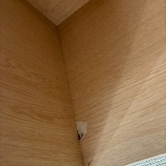 カラーボックスの画像