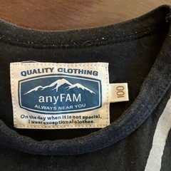 カブトムシ　柄が変わる　スパンコールTシャツ　100cmの画像