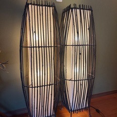 値下げ‼️照明ライト２台セット‼️の画像