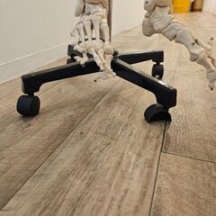 【大阪市天満橋より】等身大全身骨格模型、骸骨骨標本、人体お譲りします。の画像