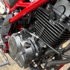 【新古？】ベネリ/TNT125 自賠責3年付き/整備済み渡し/車両交換検討の画像