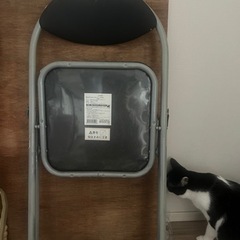 折りたたみ椅子🆓の画像