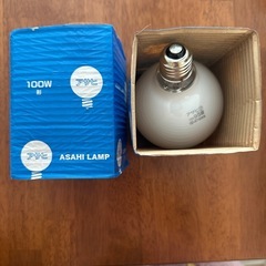 ボール電球100W型　2個の画像