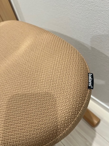 バランスイージー　美品⭐︎カバー付き