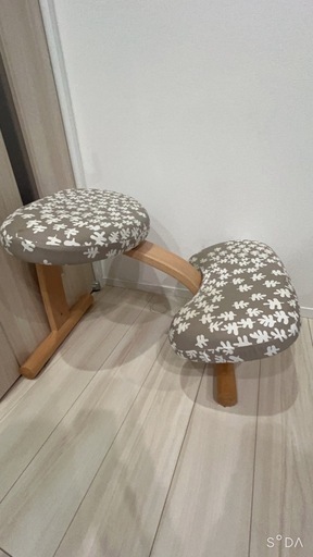 バランスイージー　美品⭐︎カバー付き