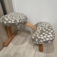 バランスイージー　美品⭐︎カバー付きの画像