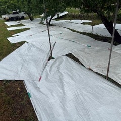 桃ため使ってるタイペックシートの画像