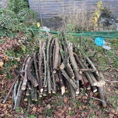 伐採（枝木）の画像