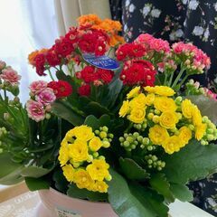 同性女性の友達☆彡