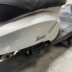 商談中！‼️HONDA とトゥデイの画像