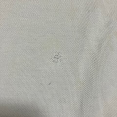 LACOSTE　ポロシャツの画像