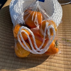 干し柿用の柿🍊紐付き😀一袋250円の画像