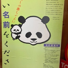 上野動物園   🐼  記念グッズ ！ファンの方には無料で！の画像
