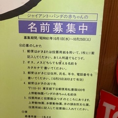 上野動物園   🐼  記念グッズ ！ファンの方には無料で！の画像