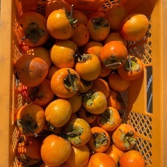 干し柿用の柿🍊紐付き😀一袋250円の画像