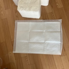 ペットシート49枚入り、レギュラーサイズ　　1袋800円 の画像