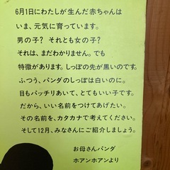 上野動物園   🐼  記念グッズ ！ファンの方には無料で！の画像