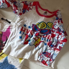 ヒスミニ90 　の画像