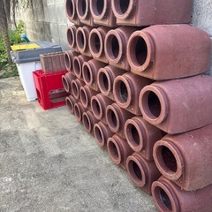 タコツボの画像