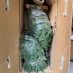 クリスマスツリー　コストコ　大型の画像