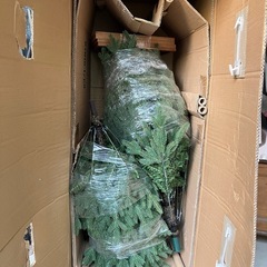 クリスマスツリー　コストコ　大型の画像