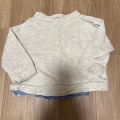 プティマイン　はやぶさ　90の画像