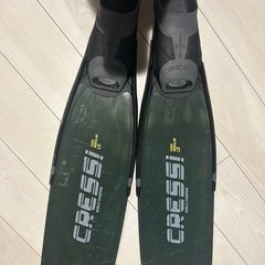 マリンスポーツの画像