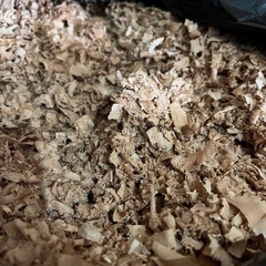 おがくずの画像