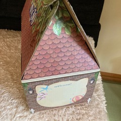 無理♪ダンボール猫ハウスの画像