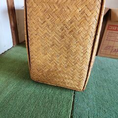 柳ごおりの画像