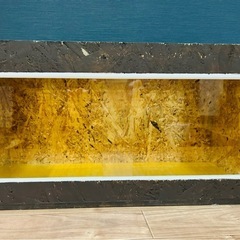 爬虫類木製自作ケージ横60cm縦30cmの画像