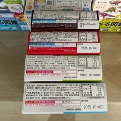 知育菓子　グミ　パティシエ　食べる図鑑　まとめ売りの画像