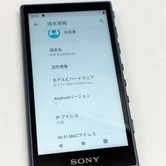 SONY ウォークマン NW-A106/32GB/ブルーの画像