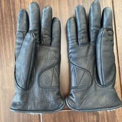 パウワウグローブ　手袋の画像