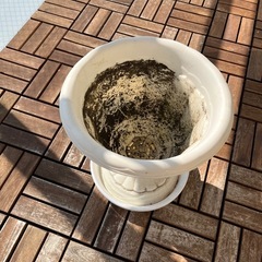 ホワイト足付きの植木鉢あげますの画像