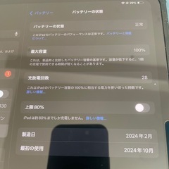 iPad proM4256G　Apple Pencil proセットの画像