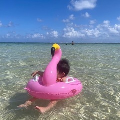浮き輪　ベビー　フラミンゴの画像