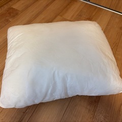 【抱き枕】ハグモッチ プレミアム【美品】の画像