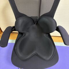 中古品 MTG 骨盤サポートチェア 座椅子の画像